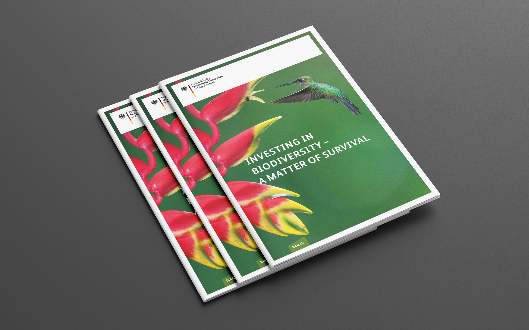 Cover der Broschüre "Investing in Biodiversity"